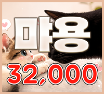 32000 먀옹